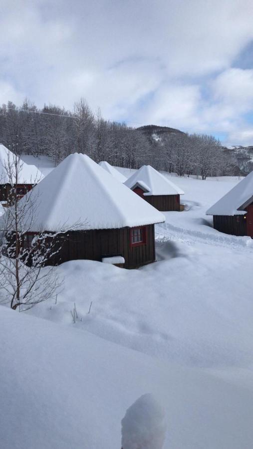 Vestvatn - Arctic Cabins Brekke  Kültér fotó
